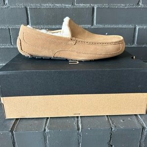 UGG Mocha Ascot